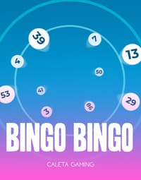 Bingo Bingo